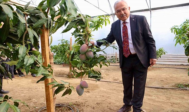 Tropik bitkilerden sebzeye: Öğrenciler seralarda deneyim kazanıyor