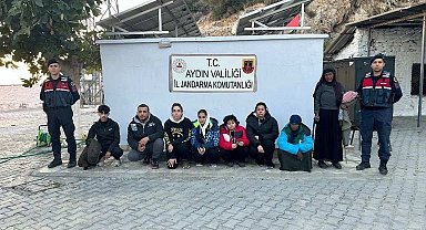 Türkiye'ye yasadışı yollarla giriş yapan 8 düzensiz göçmen yakalandı