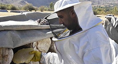 Uluslararası ödüllü Bitlis karakovan balında hasat zamanı