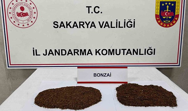 Uyuşturucu tacirleri jandarmadan kaçamadı: 2 tutuklama