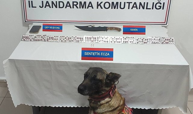 Üzerinde 170 adet uyuşturucu hapla yakalandı