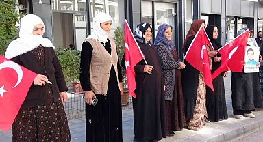 Vanlı annelerin evlat nöbeti 110'uncu haftasında