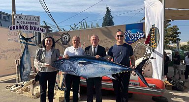 Yakaladığı 800 kiloluk dev orkinosu sevdiklerine ihram etti