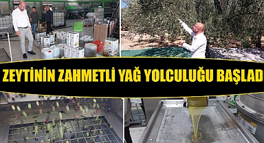 Zeytinin zahmetli yağ yolculuğu başladı