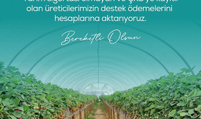 Zirai dondan etkilenen çiftçilere 13 milyar 221 milyon lira destek ödemesi yapılacak