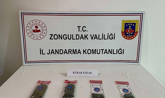 Zonguldak'ta jandarmadan narkotik operasyonu: 14 gözaltı