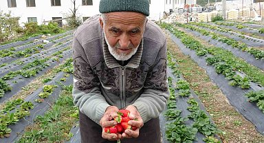 85 yaşındaki İbrahim dede "Hayır Bahçesi"nde yetiştirdiği meyve ve sebzeleri ücretsiz ikram ediyor