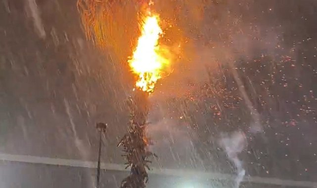 Adana'da düşen yıldırımlar yangına neden oldu