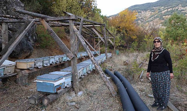 Adana'da sıcaklık düşmeyince arılar kışlama için kovanlara girmedi