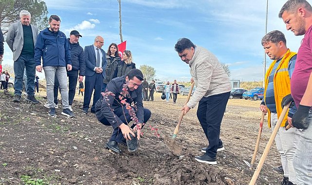Ağaçlandırma günü etkinliği Havran'da gerçekleştirildi