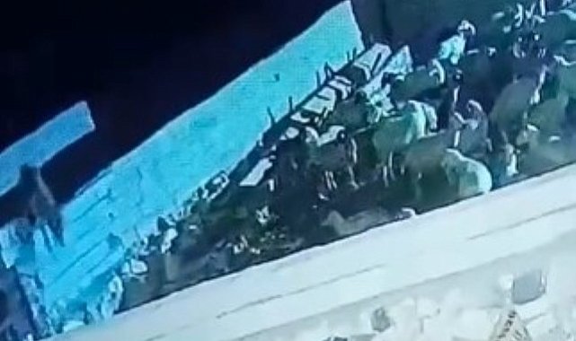 Ağıla giren kurt koyunu telef etti: O anlar kamerada