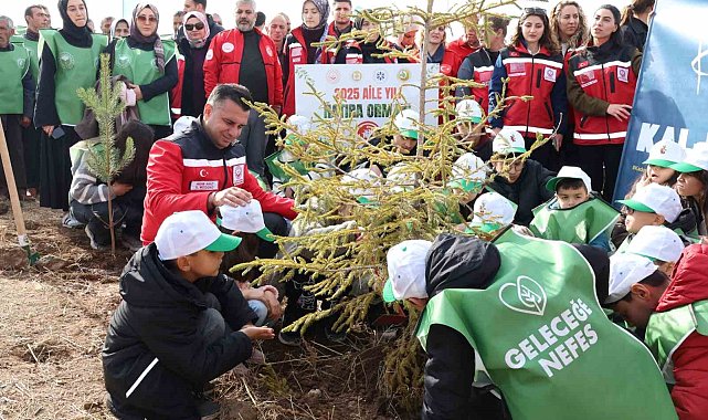 Aile Yılı'nda anlamlı buluşma: Aile Hatıra Ormanı'nda fidanlar toprakla buluştu