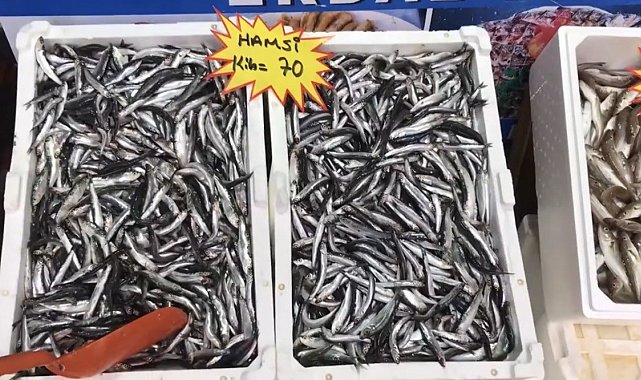 Akçakoca'dan balık tüketicilerine uyarı: "Buzhane balığına dikkat"