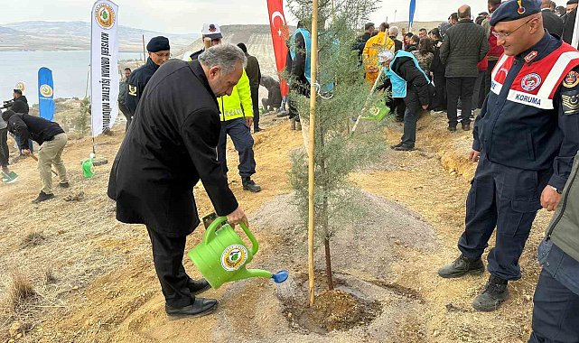 Ali Dağı'nın zirvesine 1111 fidan