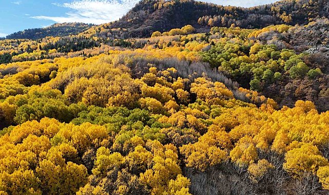 Ankaralıların doğayla buluşma noktası: "Karagöl Tabiat Parkı"