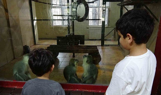 Ara tatile çıkan öğrenciler soluğu hayvanat bahçesinde aldı