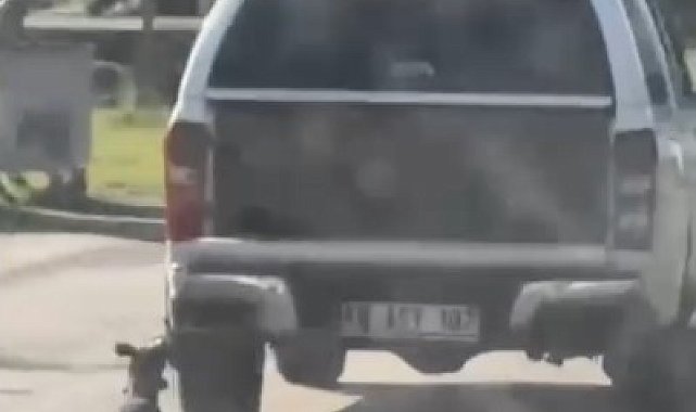 Araçla metrelerce sürüklenen köpek telef oldu: 2 gözaltı