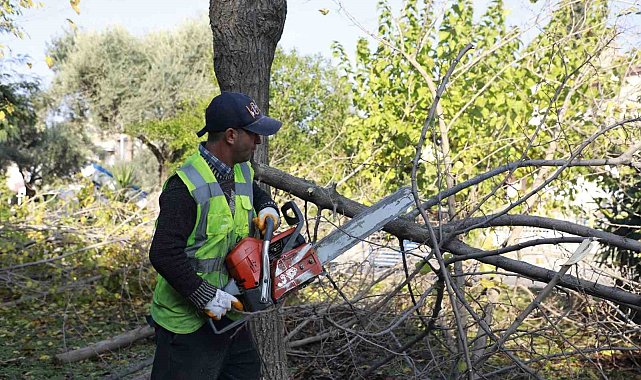 Aydın Büyükşehir Kemer Mahallesi'nde budama ve temizlik çalışması gerçekleştirdi