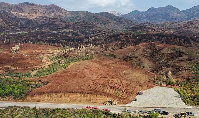 Aydın'da 17 lokasyonda fidan dikilecek