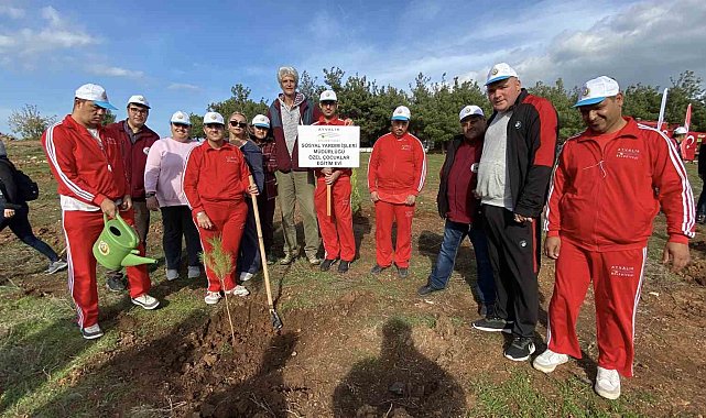 Ayvalık'ta ertelenen fidan dikim etkinliğine ilgi yoğun oldu