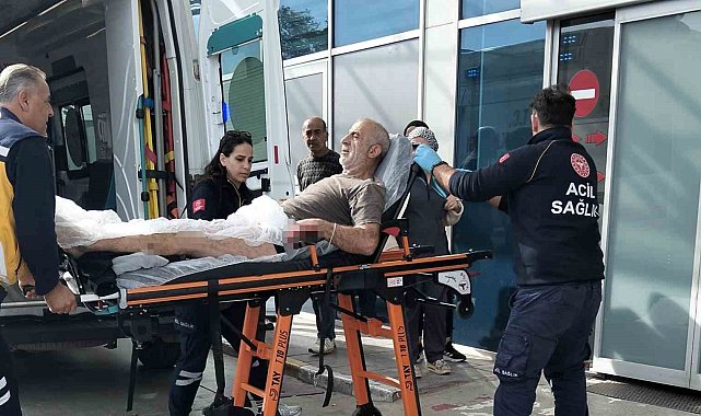 Bafra'da çeltik hasadında silahlı kavga: 2 kardeş yaralandı