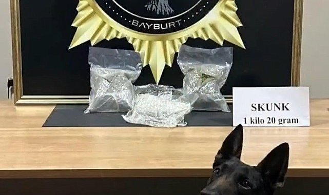 Bayburt'ta bavula yerleştirilmiş 1 kilo 20 gram skunk ele geçirildi
