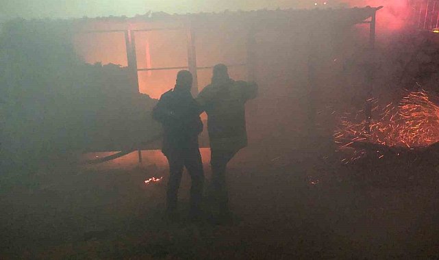 Besni'de konteyner yangını korkuttu