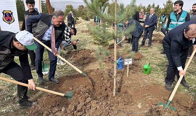 Bingöl'de 25 bin fidan toprakla buluştu
