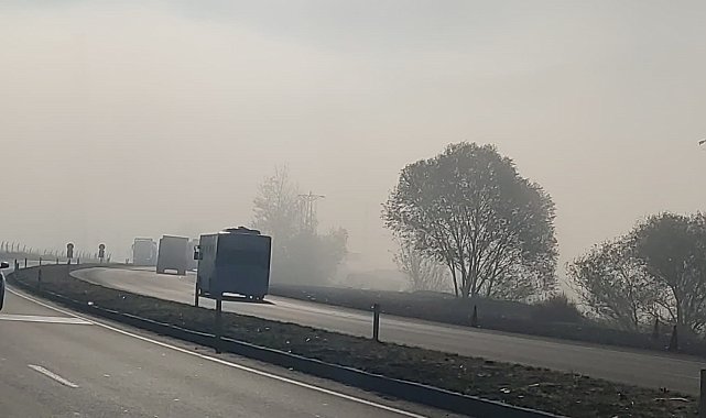 Bingöl'de sis etkili oldu