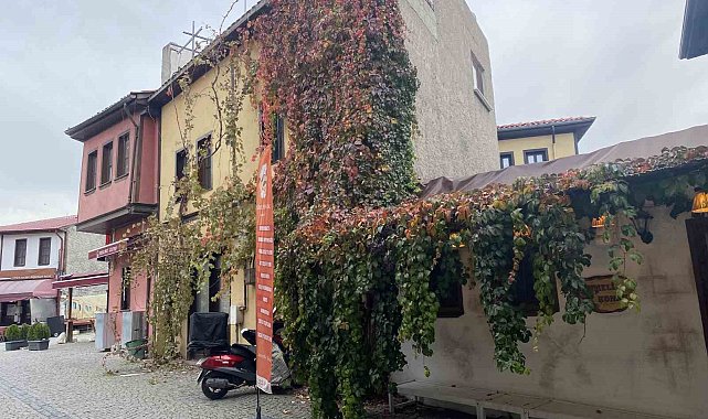 Bitkiler ile kaplanan tarihi yapı kartpostallık manzara oluşturuyor