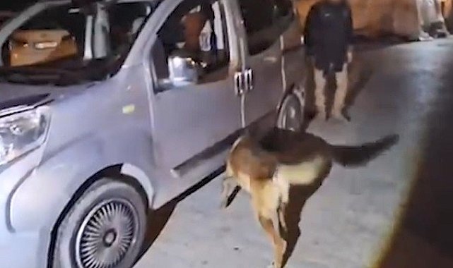 Bitlis'teki uyuşturucu operasyonunda 1 kişi tutuklandı