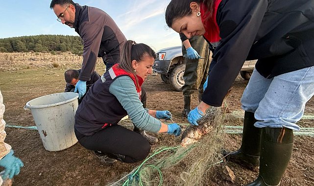 Bolu'da 5 kilometrelik hayalet ağ toplandı: 500 balık canlı kurtarıldı