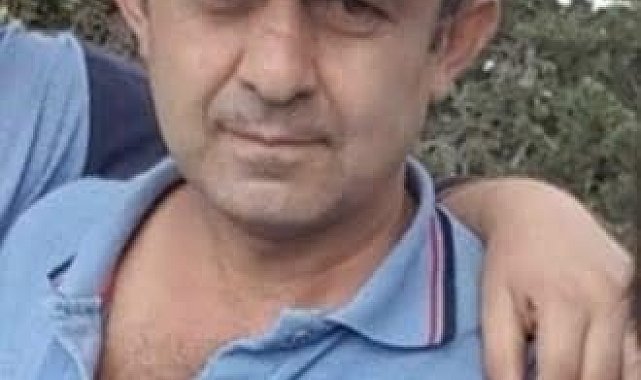 Bolu'da ağacın altında kalan vatandaş hayatını kaybetti