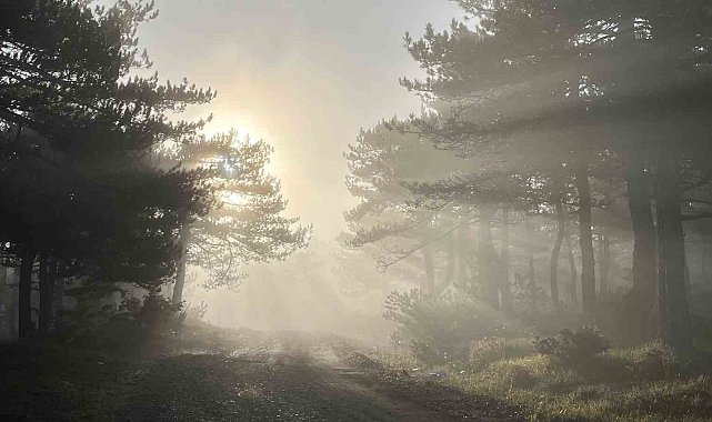 Bozdağ zirvesindeki sis manzarası hayran bıraktı