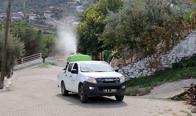 Bozdoğan'da karasinekle mücadele