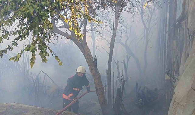 Bozyazı'da çıkan yangın seralara zarar verdi