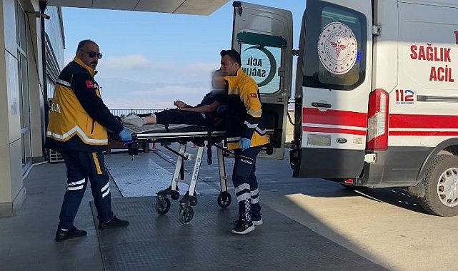 Burdur'da sokak köpekleri küçük kıza dehşeti yaşattı