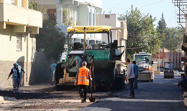 Büyükşehir'den Ceylanpınar'daki yolda asfalt çalışması
