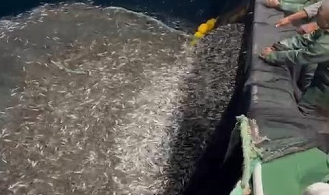 Çanakkale'de balıkçılardan örnek avcılık, yavru balıkları denize geri saldı