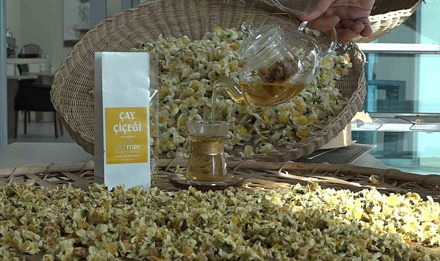 Çayın yeni ürünü 'Çay çiçeği çayı' 6 bin TL'den satılıyor