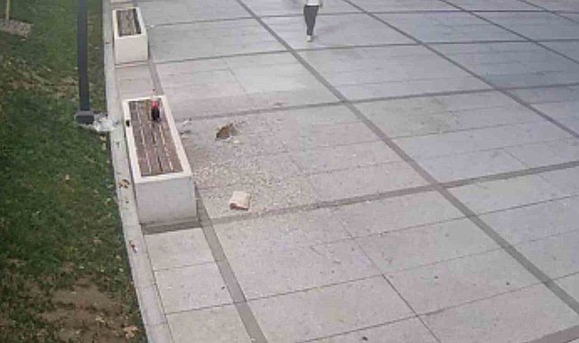 Çekirdek keyfi pahalıya patladı