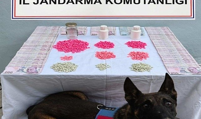 Denizli'de tacirlerine operasyon düzenlendi