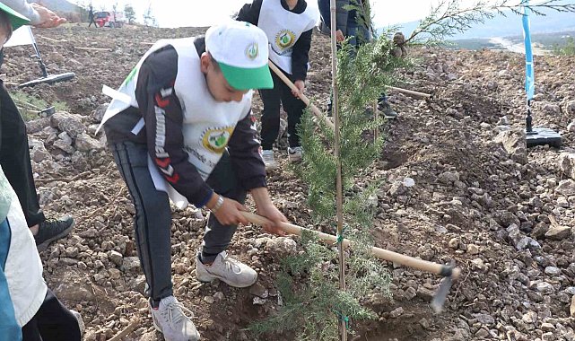 Denizli'de yanan alanlarda binlerce fidan toprakla buluştu