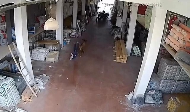 Depoya giren inek çalışanlara saldırdı: Vatandaşlar güçlükle kurtuldu