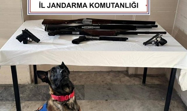 Düğün ve eğlencelerde havaya ateş açan 3 şahıs yakalandı