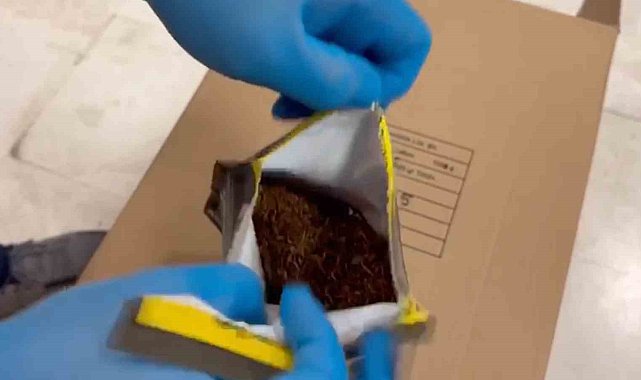 Durdurulan tırda piyasa değeri 7 milyon TL olan sahte tütün ürünleri ele geçirildi
