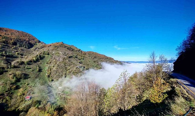 Düzce güne sisle uyandı