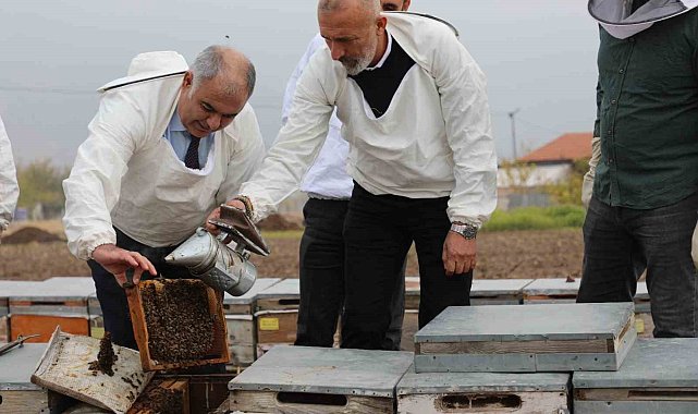 Elazığ arı kovanları incelendi