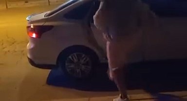 Elazığ'da bir kadın, tartıştığı şahsın arabasına saldırdı