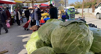 Eskişehir pazarında devasa lahanalar